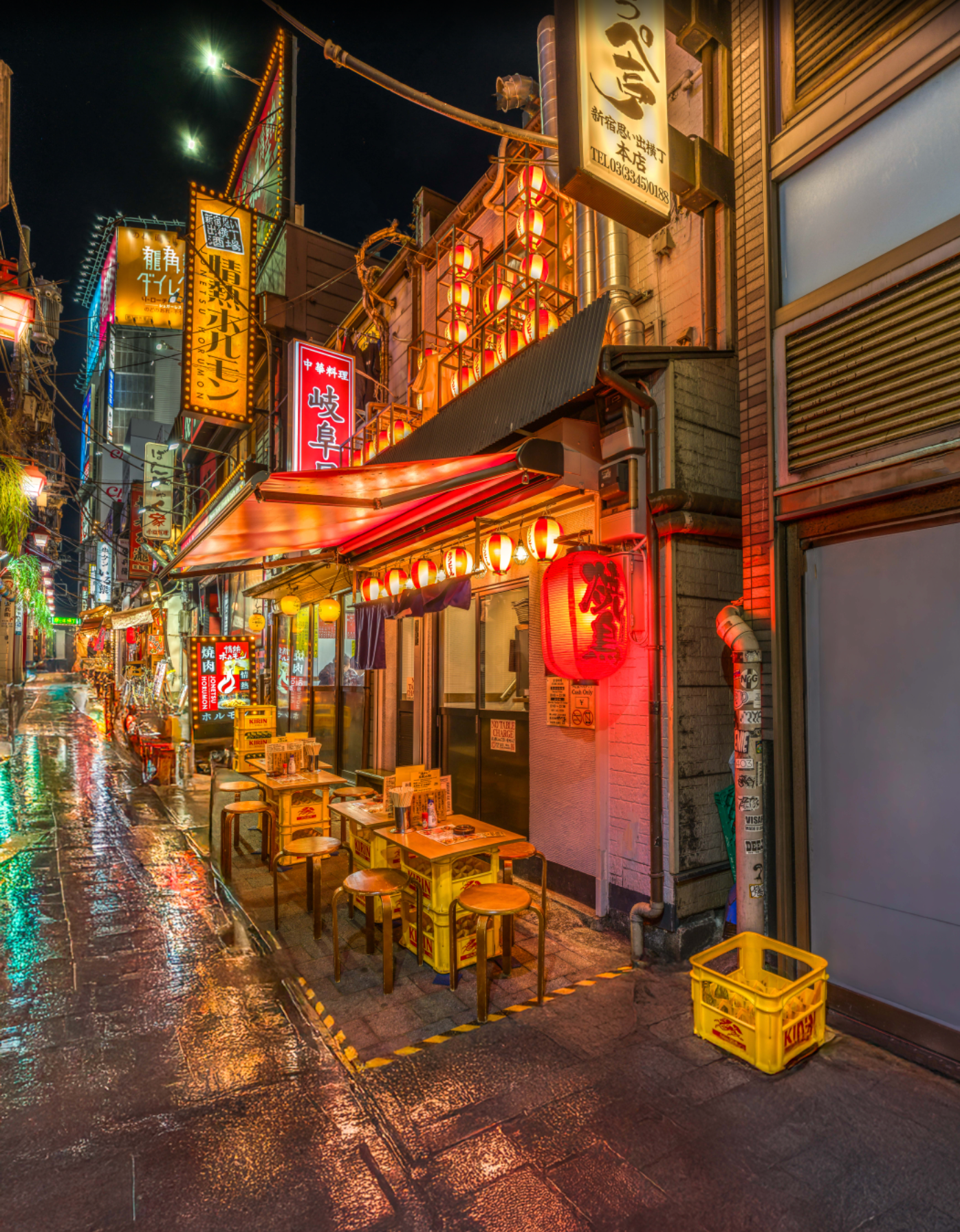 Omoide Yokocho Restaurant Tokyo