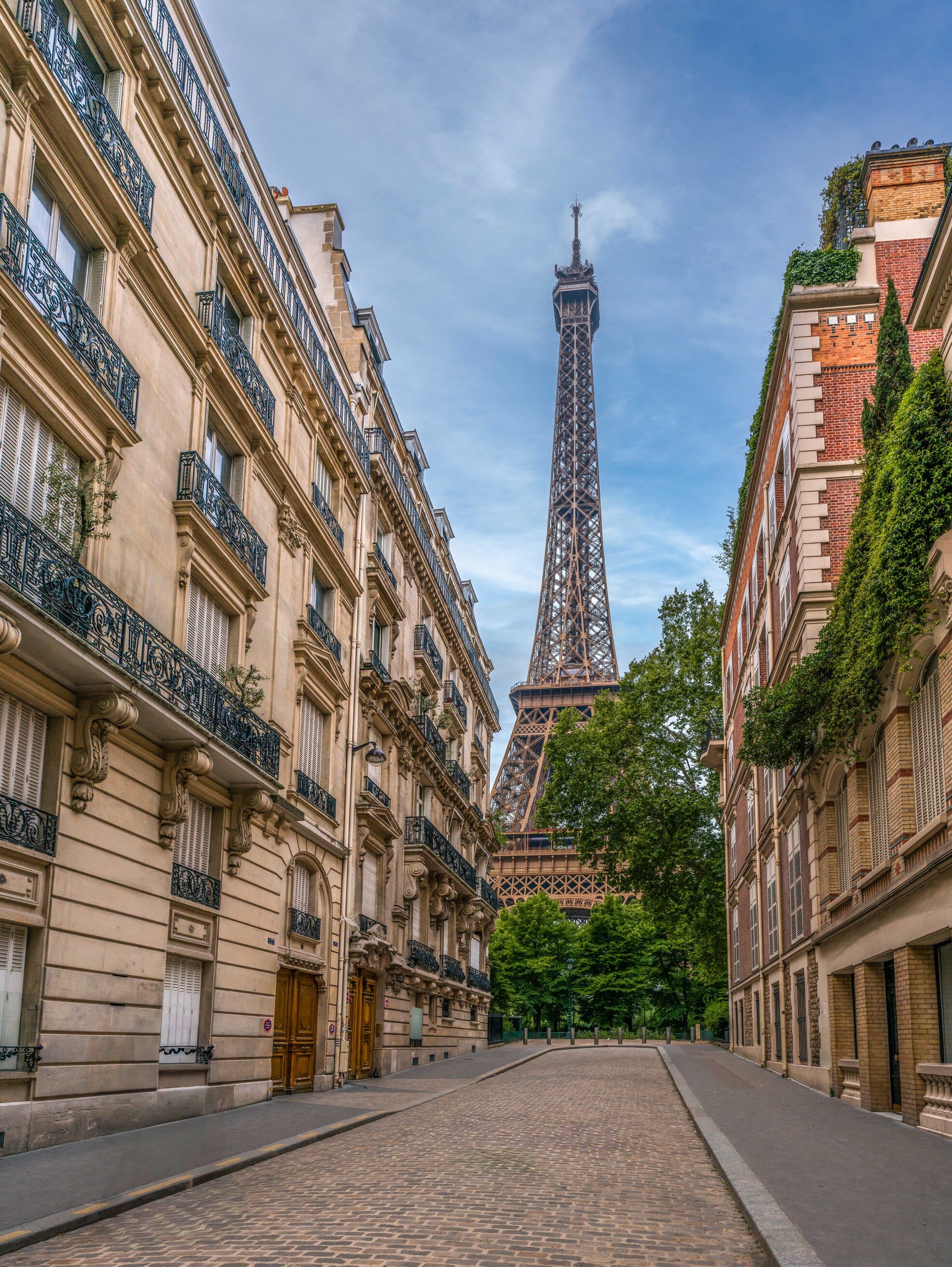 paris mornings fine art print