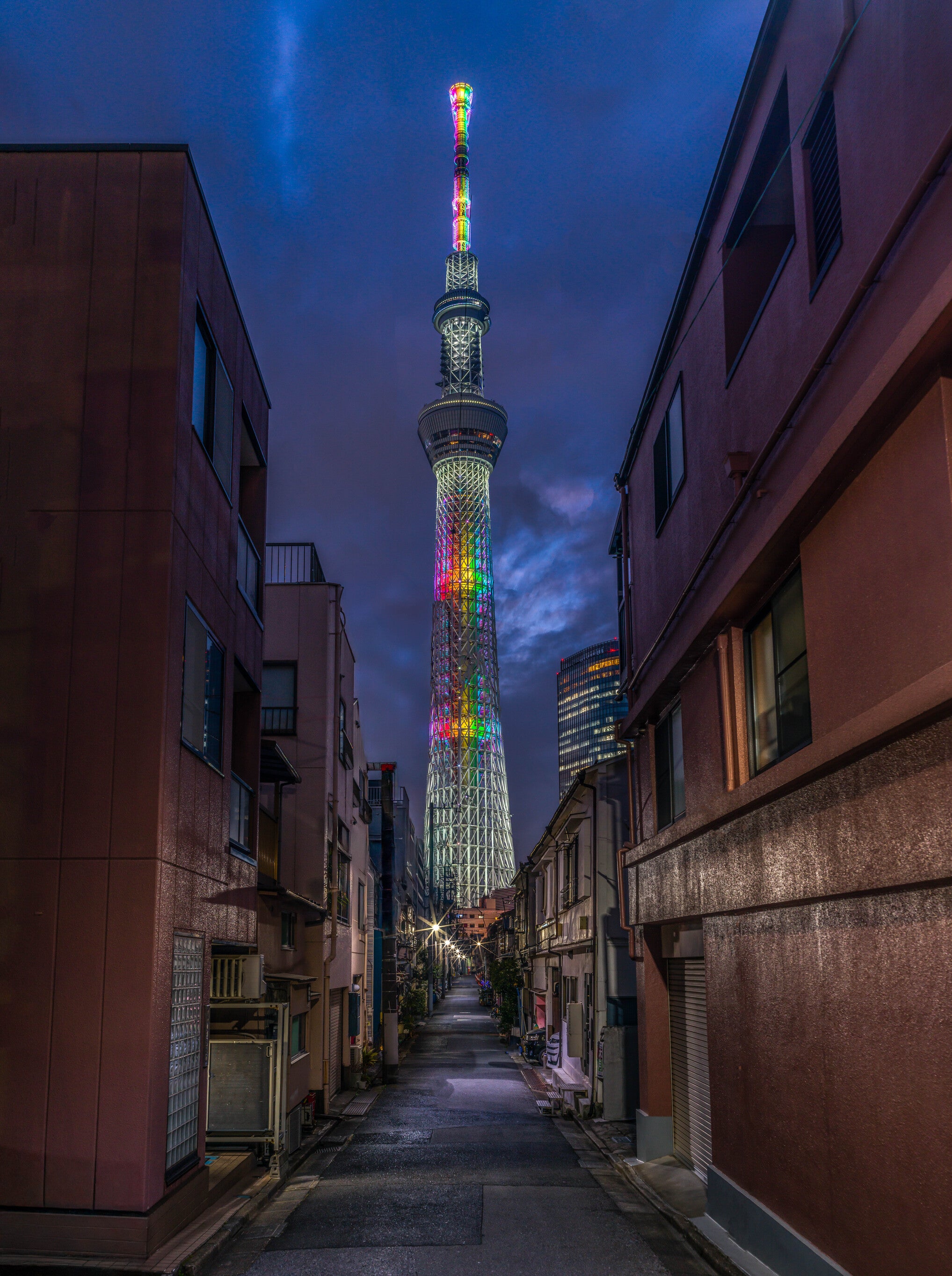 Tokyo Skytree Sunset Fine Art | Canvas, Acrylic, Metal